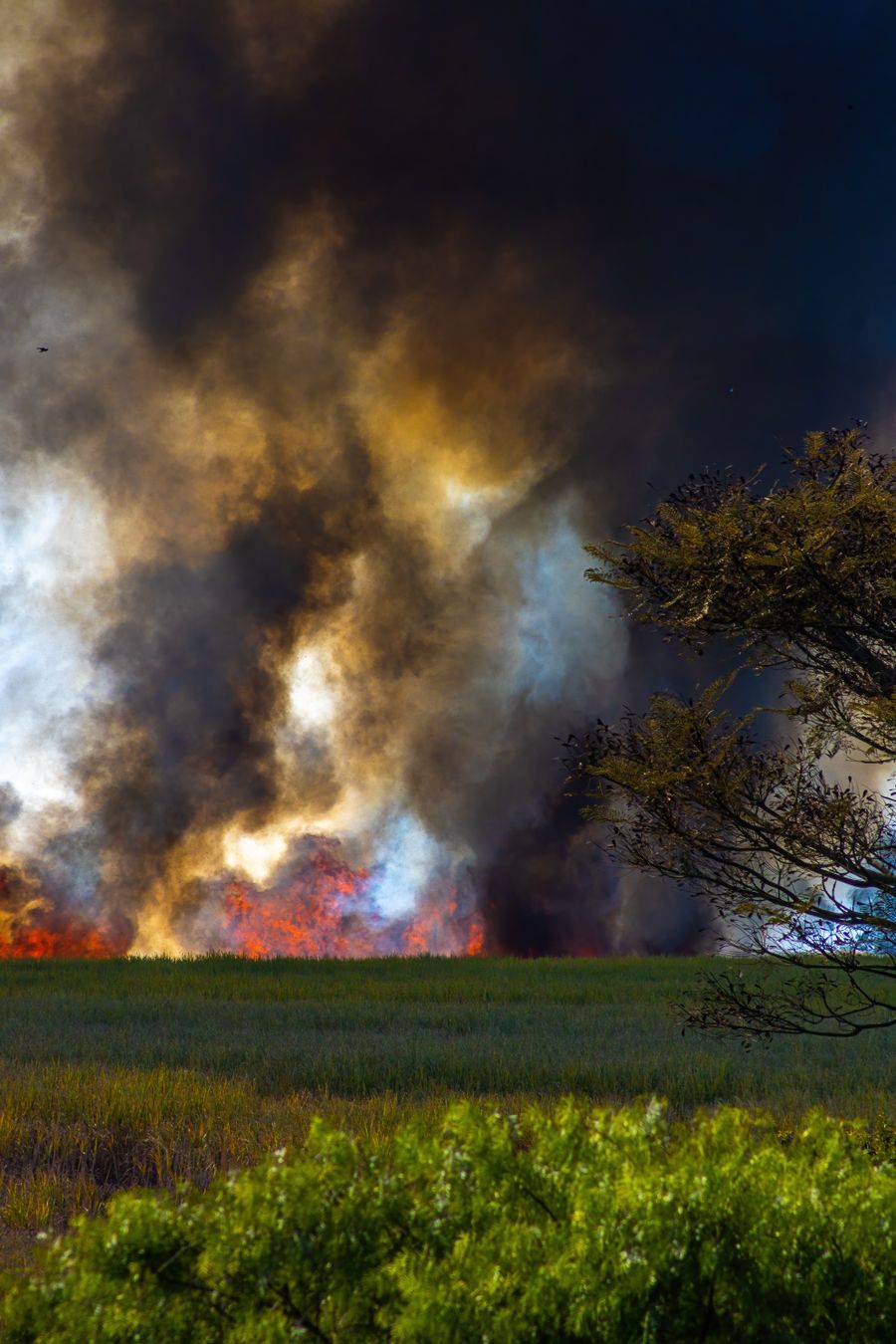 vape accessory