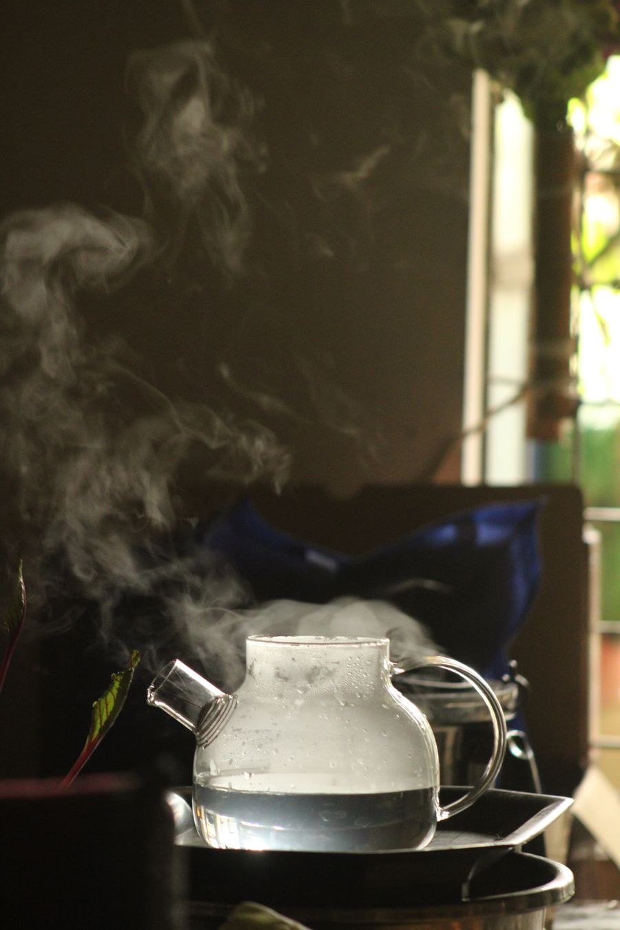 refillable pod