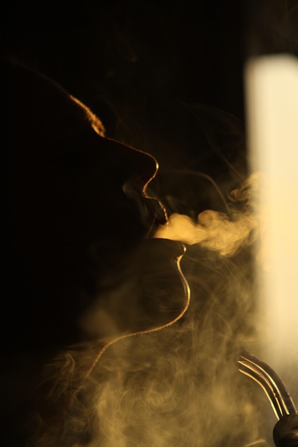 disposable vape wholesale product view